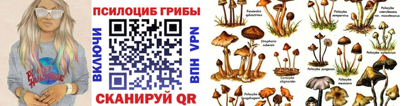 сколько стоит Екатеринбург Галлюциногенные грибы Magic Shrooms
