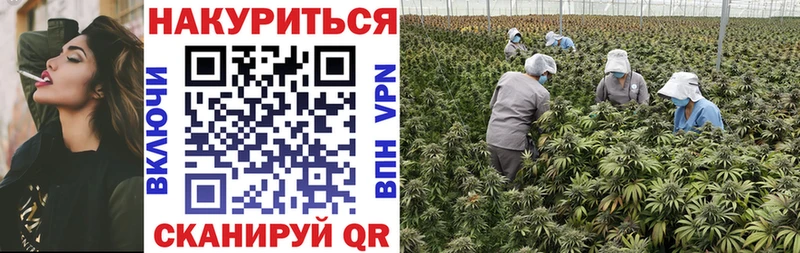 МАРИХУАНА SATIVA & INDICA  дарнет шоп  Екатеринбург 